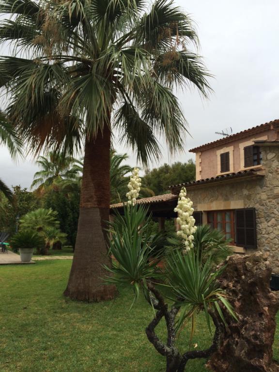 Jardi De Papallones Pollenca Exterior photo